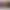 oled832026.jpg LG OLED™ evo AI 4K Smart TV 77”